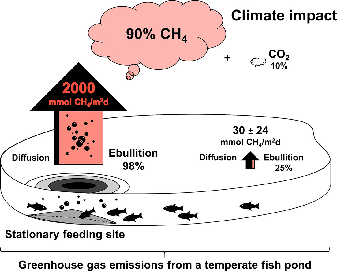 Fishpond GHG emissions